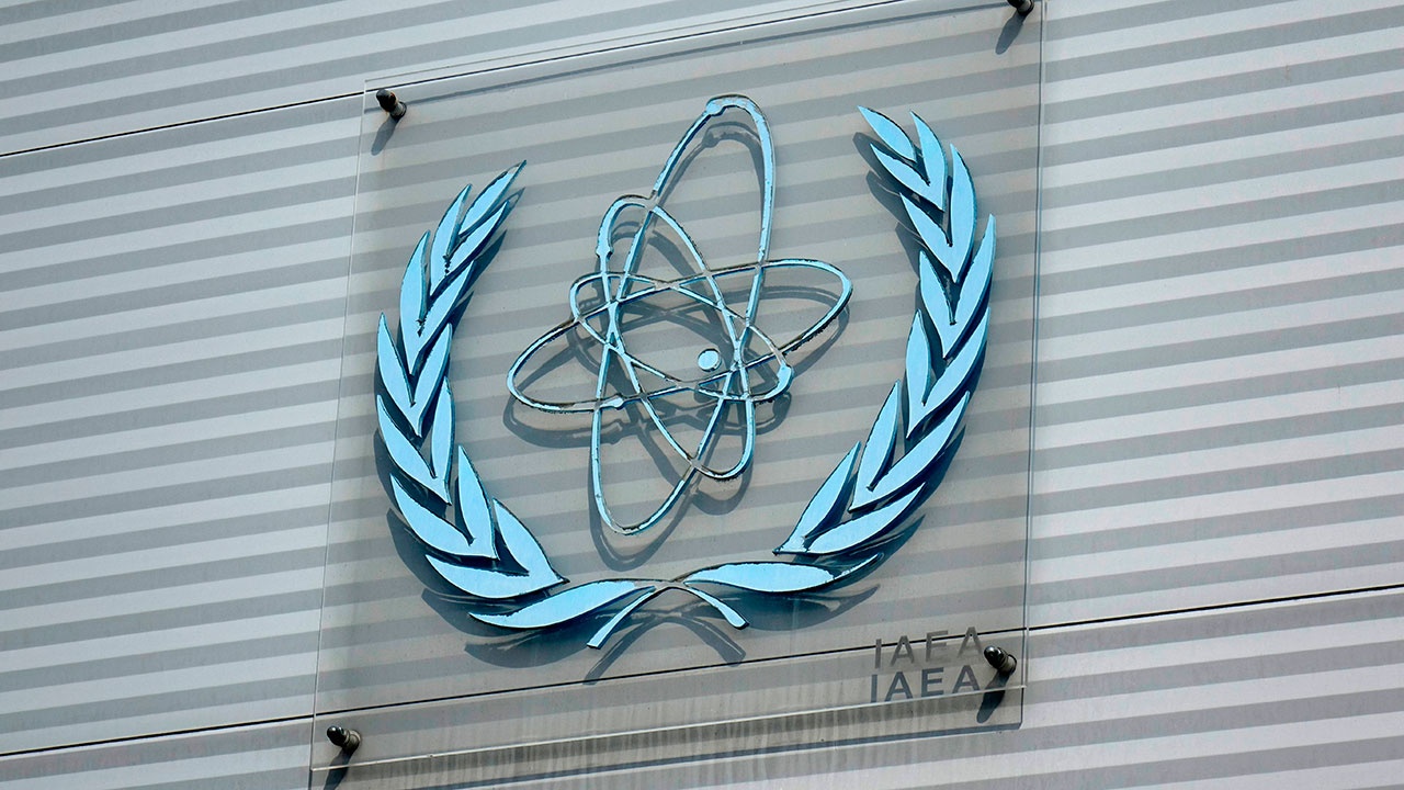 МАГАТЭ разместила своих экспертов на двух украинских АЭС