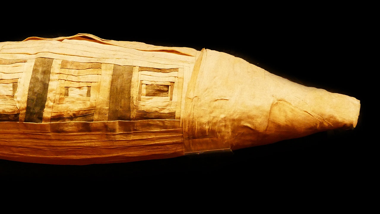 В Египте обнаружили гробницу с мумиями крокодилов