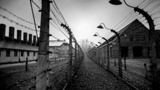 ФСБ показала очерк узника Освенцима об убийствах поляками заключенных концлагеря