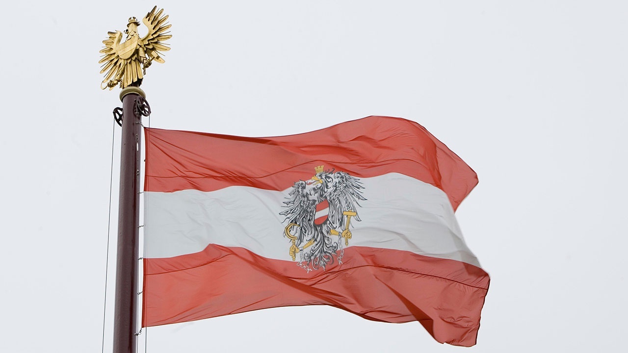 Выступающая против антироссийских санкций партия стала второй на выборах в ландтаг Нижней Австрии