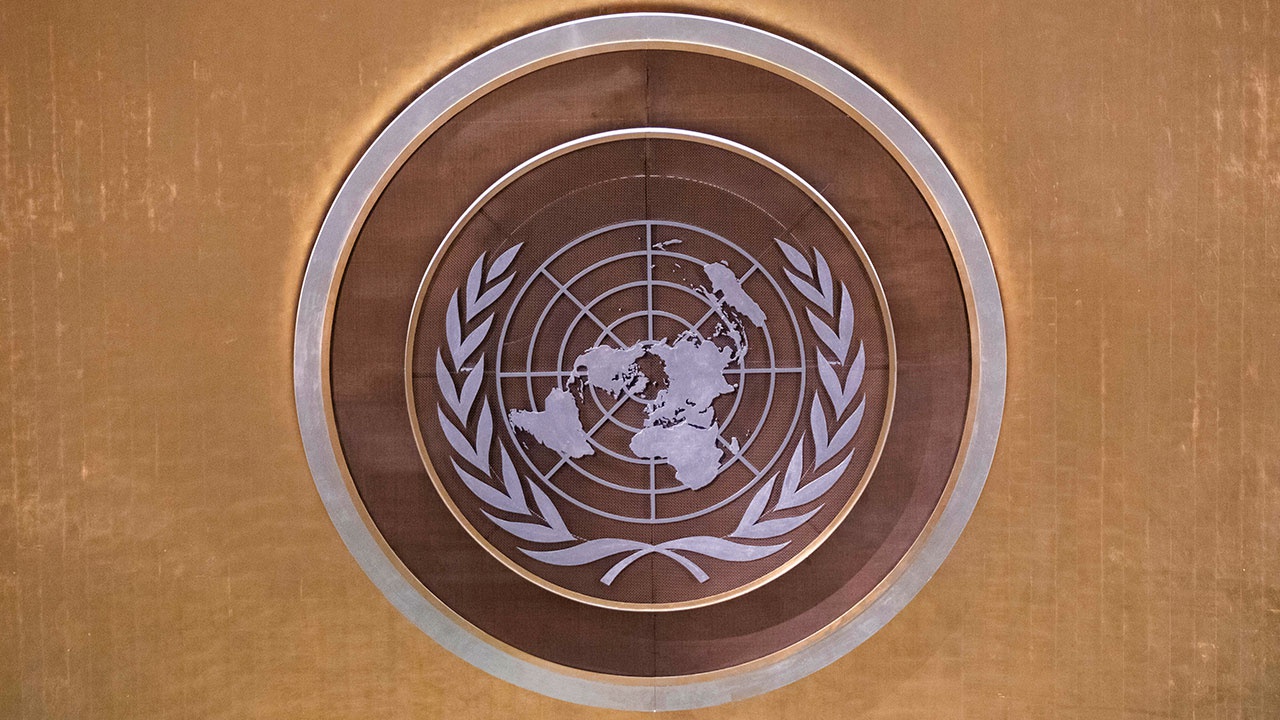 ООН выступила за расследование гибели мирных жителей от мин украинских боевиков