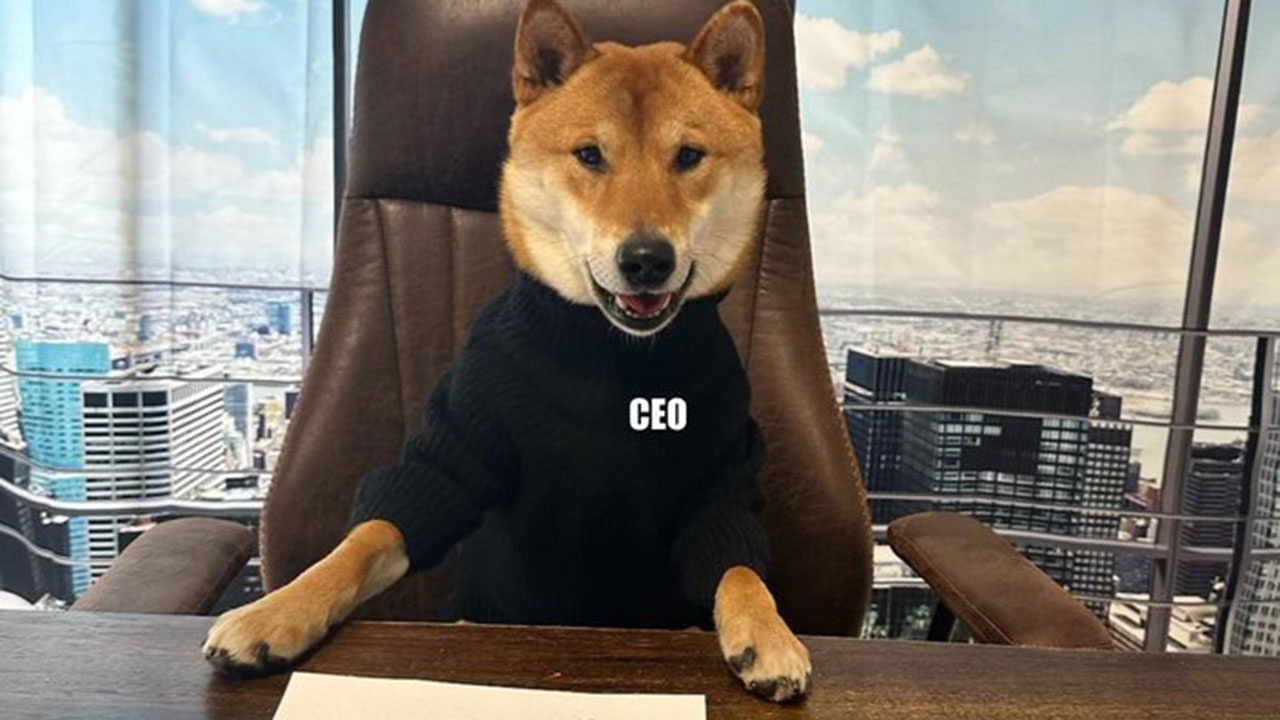 Илон Маск рассказал о «назначении» пса новым гендиректором Twitter