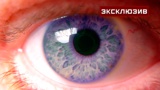 Офтальмолог Шилова объяснила, как штамм коронавируса «кракен» может лишить зрения
