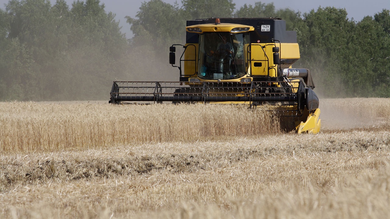 В МИД РФ заявили о саботаже зерновой сделки со стороны Запада