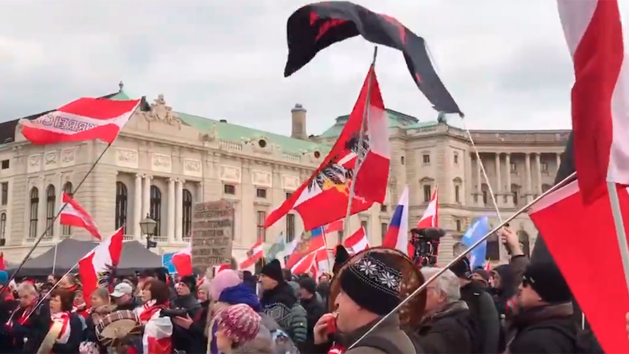 Сотни человек вышли в центр Вены на митинг против поставок оружия Киеву