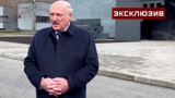 «Пусть попробуют»: Лукашенко о словах посла Польши о готовности вступить в конфликт с РФ