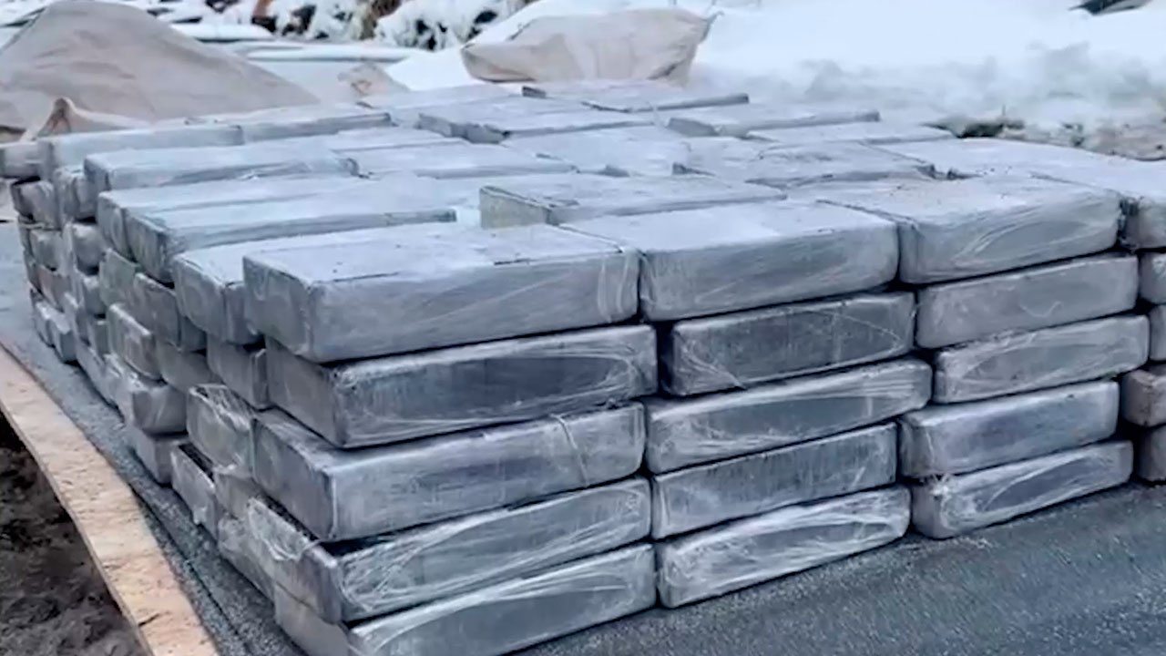 В Петербурге изъяли более 200 кг кокаина из Латинской Америки