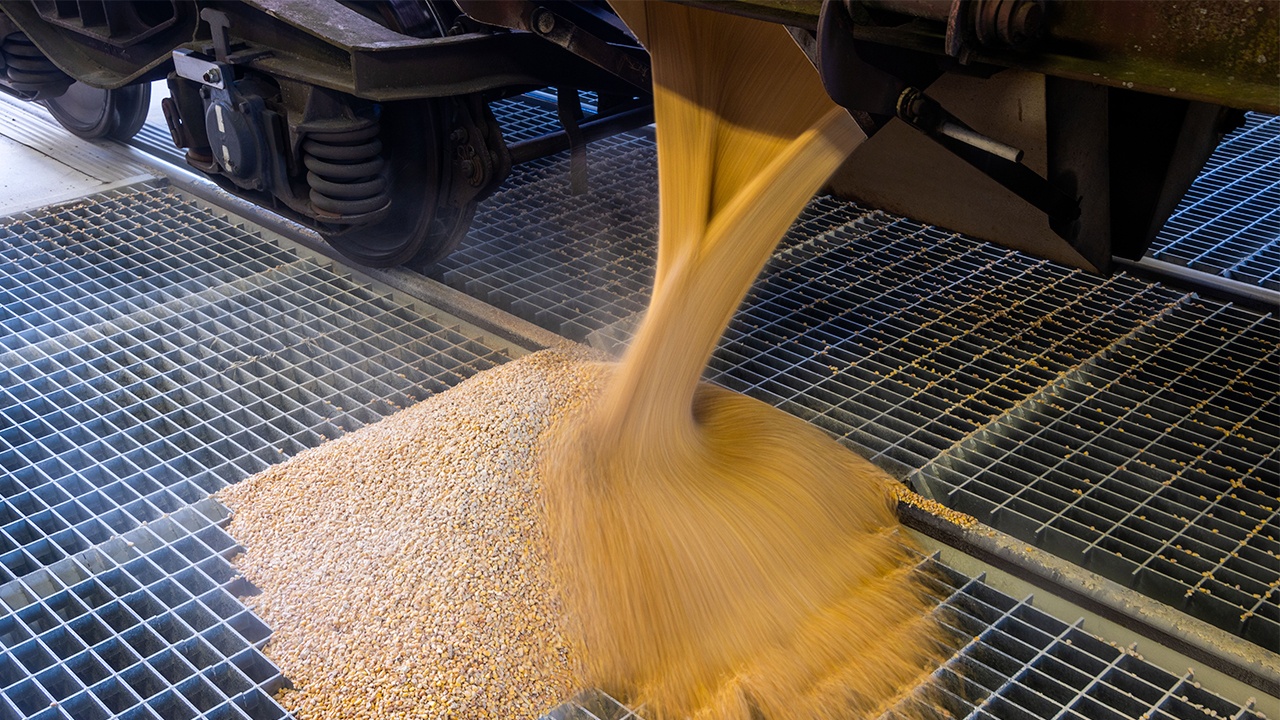 Еврокомиссия может приостановить импорт украинского зерна до 5 июня