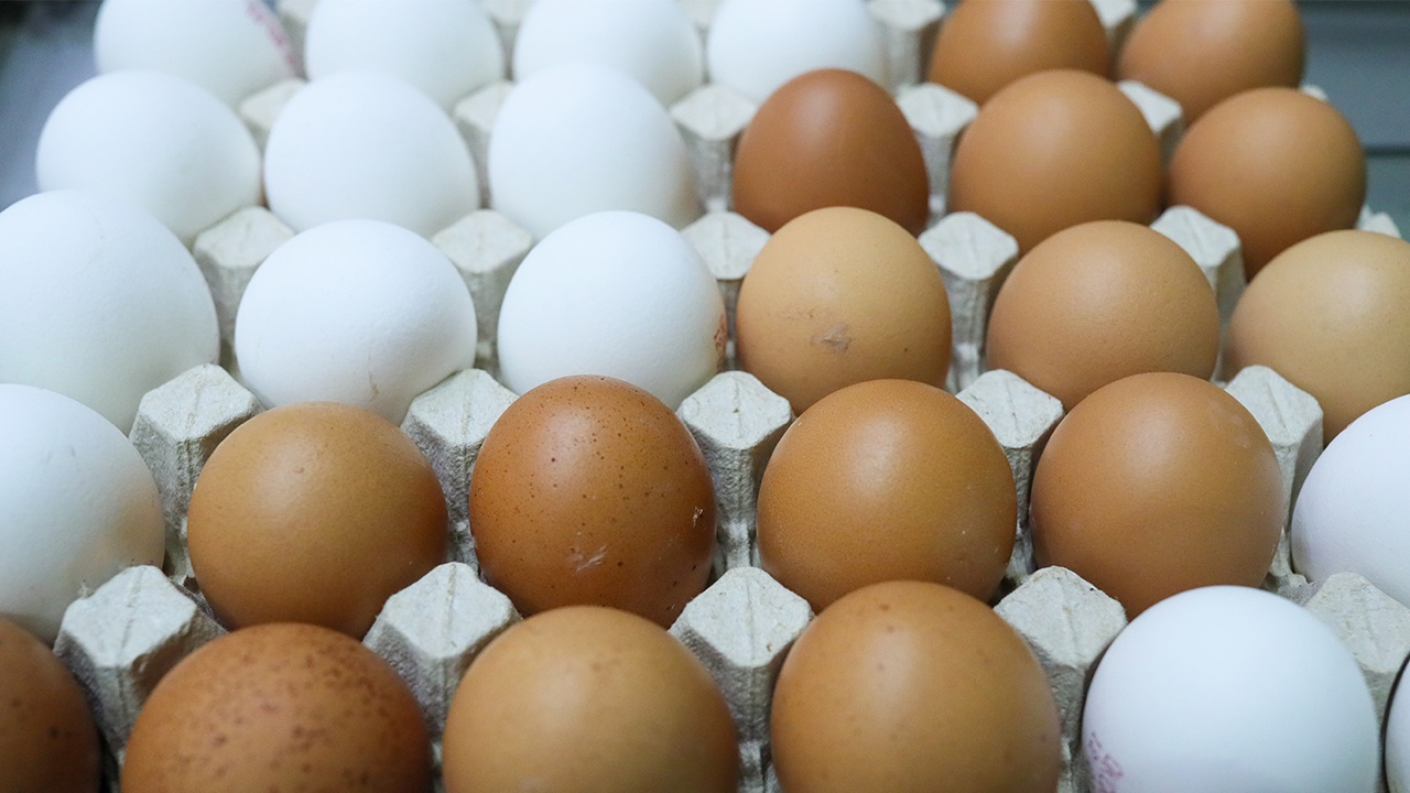 Польша предложила запретить импорт куриных яиц с Украины