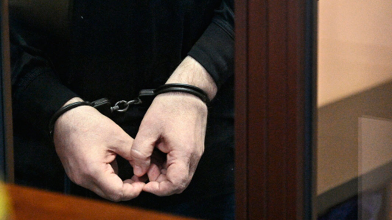 Суд в Москве арестовал россиянина Довганя за госизмену