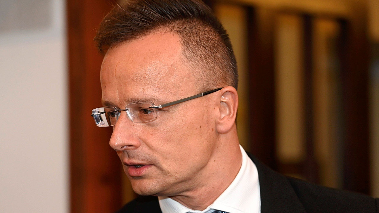 Глава МИД Венгрии отказал Зеленскому в праве оценивать действия Будапешта