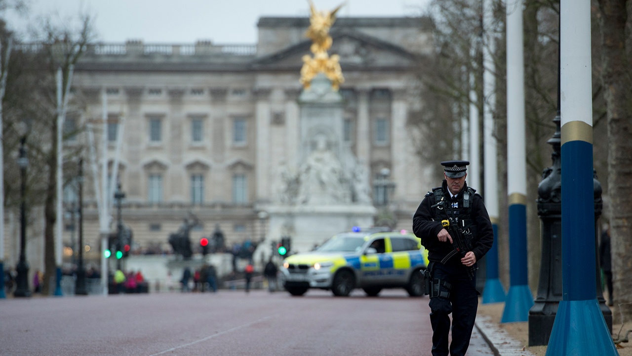 В Лондоне задержали мужчину, бросившего у Букингемского дворца патроны для дробовика