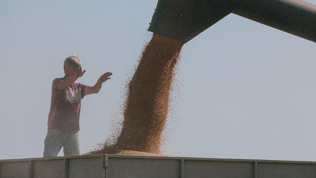 В МИД РФ назвали условия для прекращения зерновой сделки
