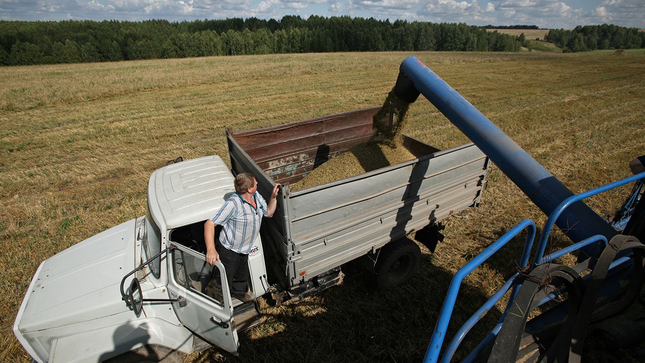 В МИД РФ ответили на призывы представителей ООН к продолжению зерновой сделки