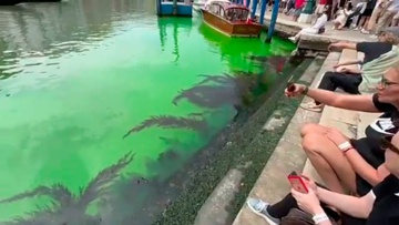 Очевидцы сняли на видео окрашенную в зеленый цвет воду Венеции