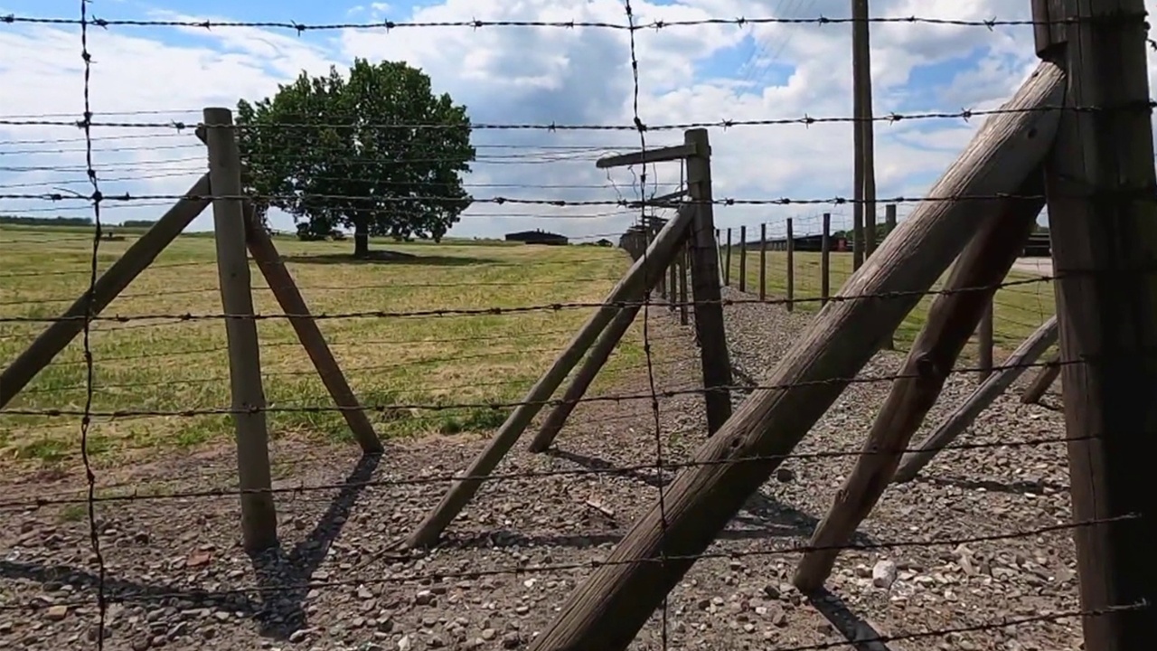 Нарисуй алеющий закат розу за колючей