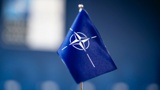 Responsible Statecraft: НАТО подготовило секретный план на случай войны с Россией