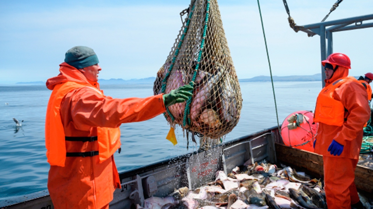 Россельхознадзор вводит усиленный радиологический контроль за рыбой из Японии 
