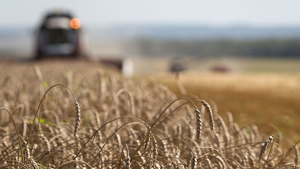 Боррель заявил, что возможности достижения договоренности по зерновой сделке нет