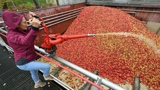 Rzeczpospolita: Украина запретит ввоз яблок, капусты и помидоров из Польши