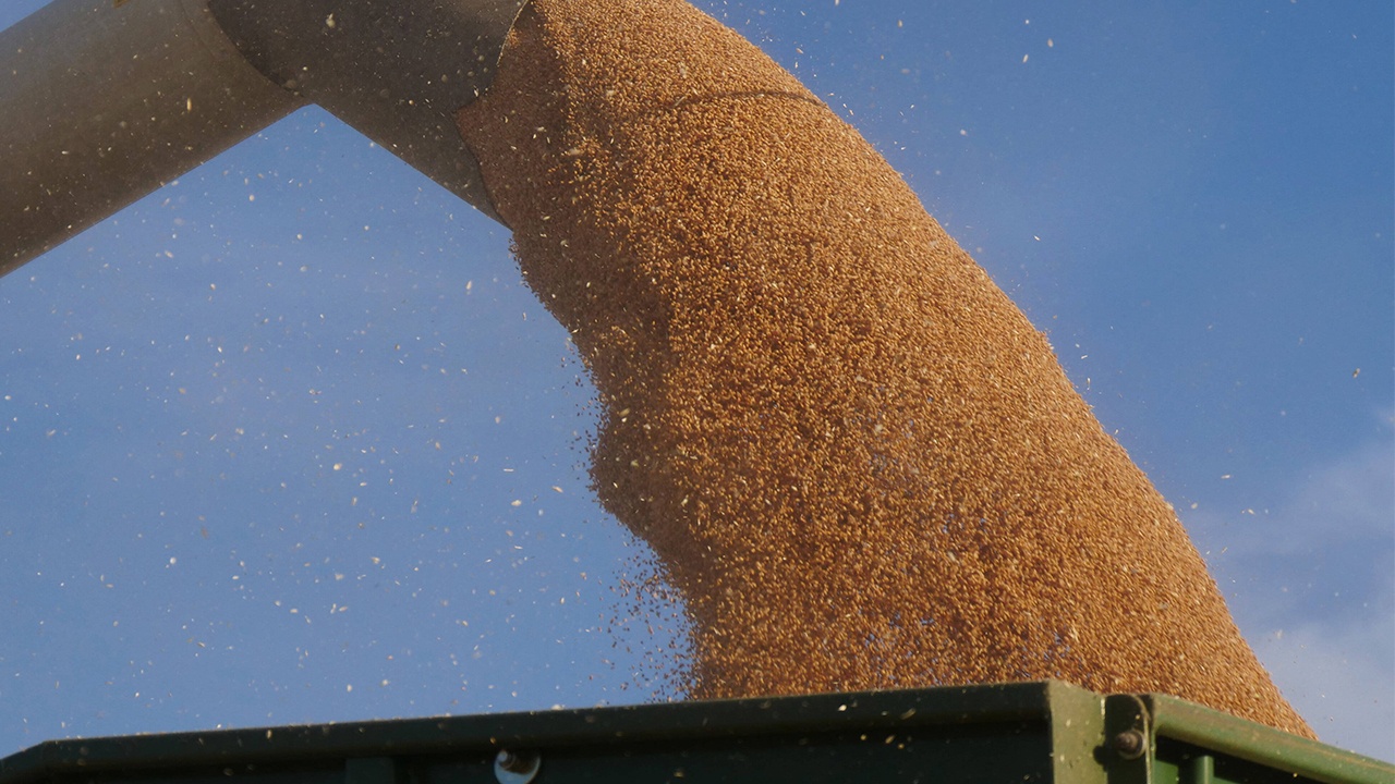 МИД РФ: Боррель фактически признал, что ЕС не готов выполнять зерновую сделку