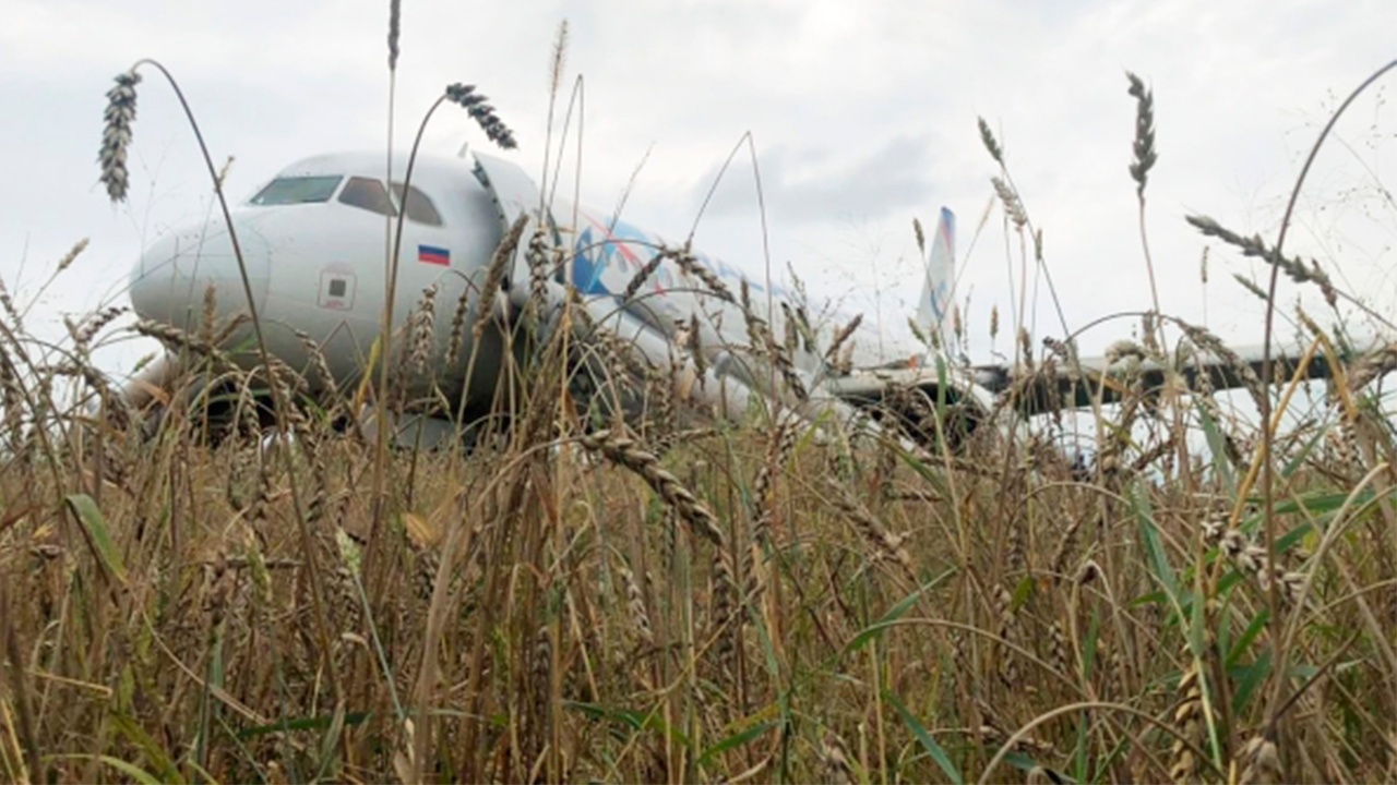 Аварийно севший в поле в Новосибирской области самолет в будущем сможет летать