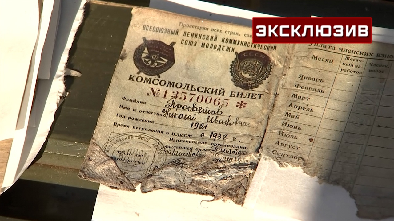 Орден и комсомольский билет: под Петербургом нашли Ил-2 и останки летчика
