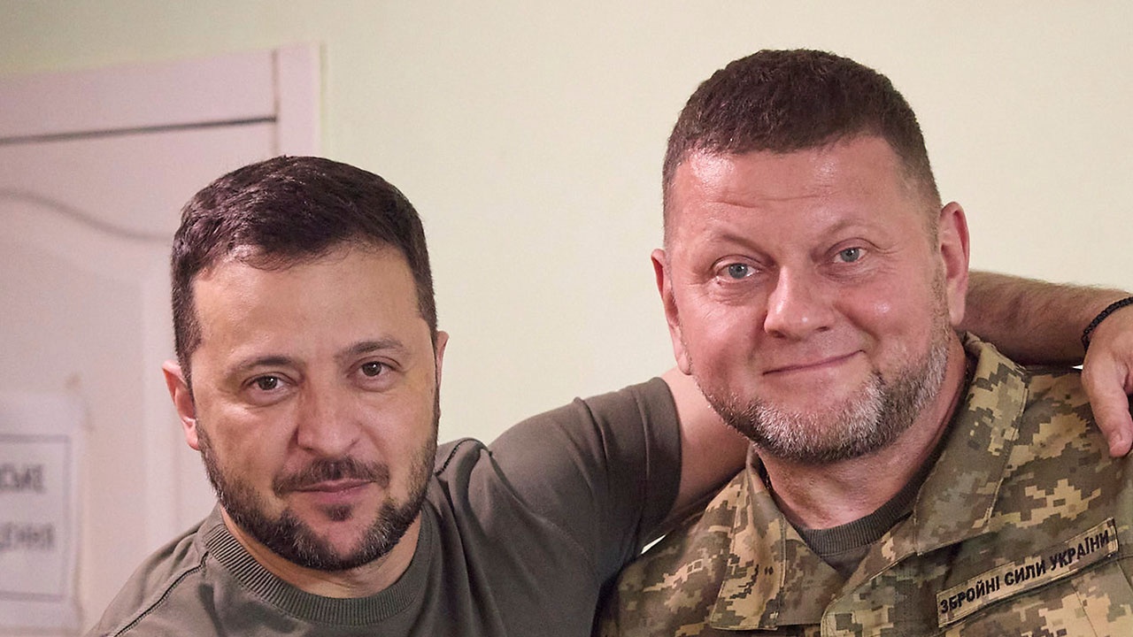 Последние новости - Херш назвал переговоры Залужного с Западом причиной для его 