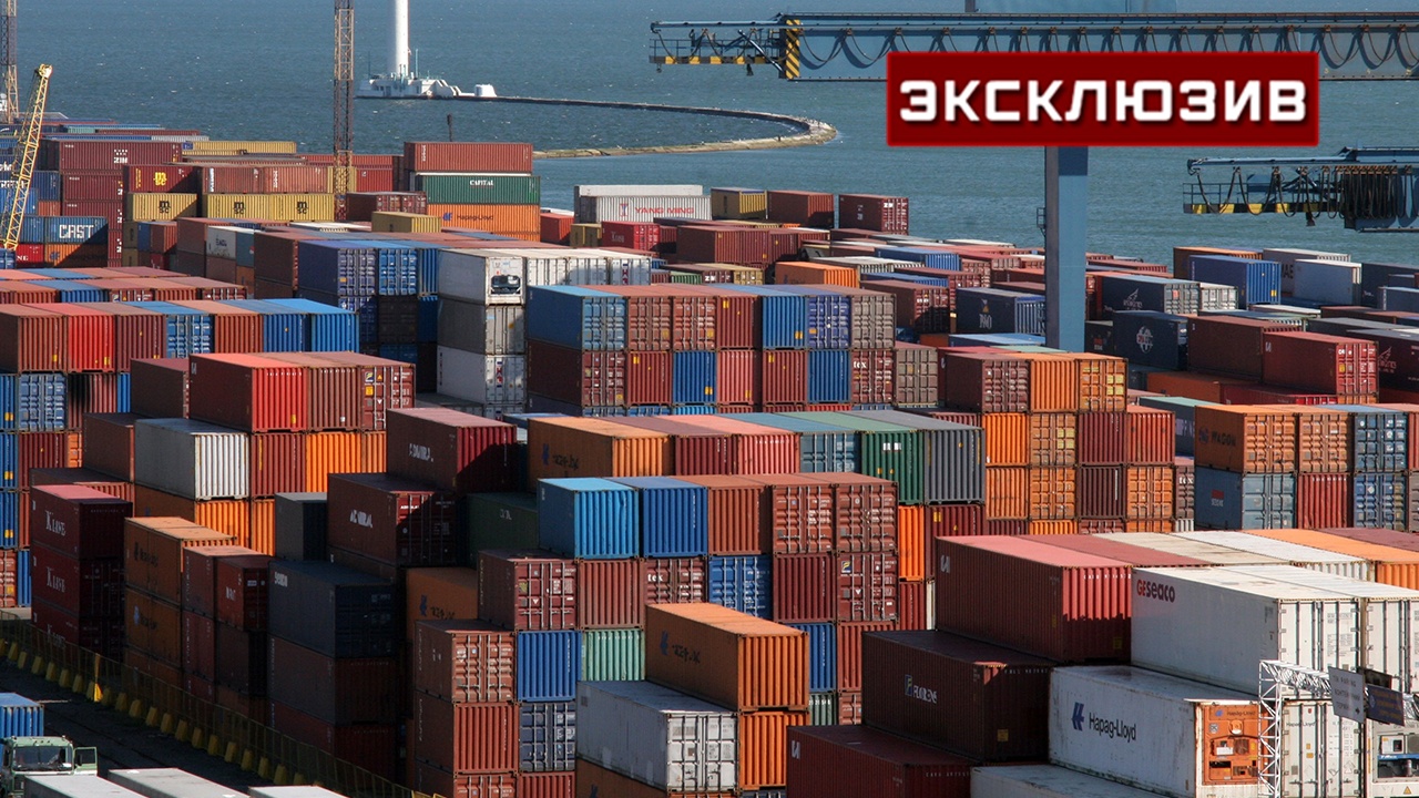 В Госдуме объяснили, зачем США контроль над терминалом «Олимпекс» в Одессе