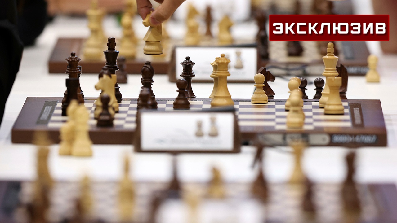 В ФШР назвали допуск россиянок на чемпионат по шахматам «отправной точкой»