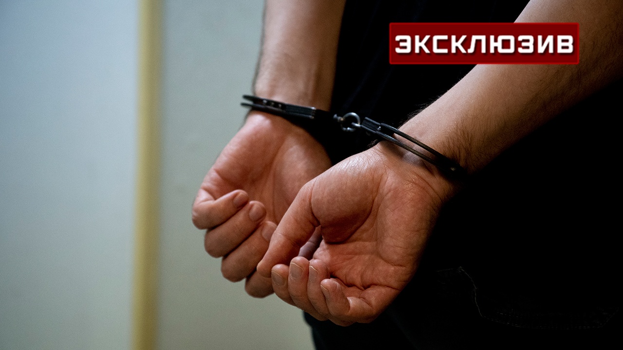 Летчик Ярошенко: арест Котельникова в Греции говорит о предвзятости к россиянам