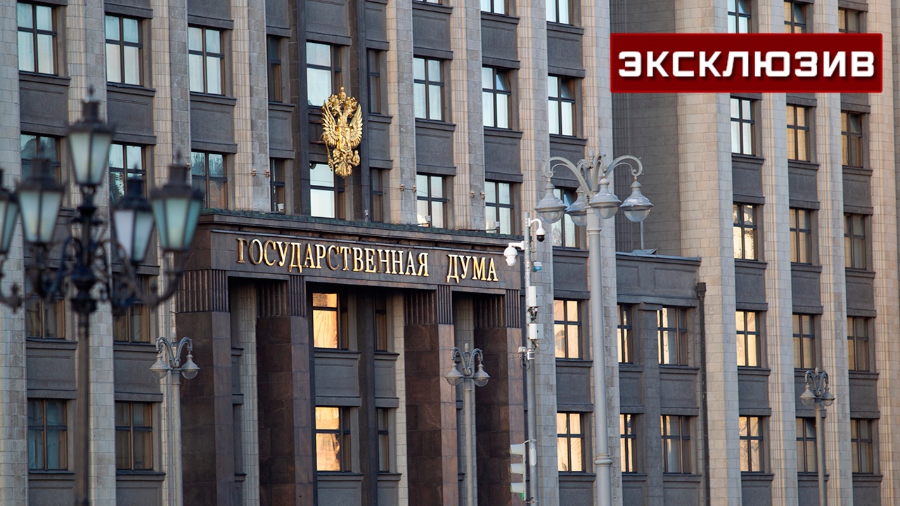 В ГД допустили, что Германия следующей обвинит РФ в нарушении воздушного пространства