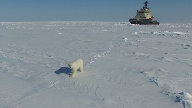 Бесконечная энергия: как и за счет чего Россия будет осваивать Арктику