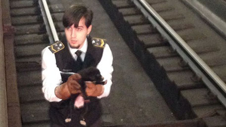 Машинист московского метро спас упавшего на рельсы щенка