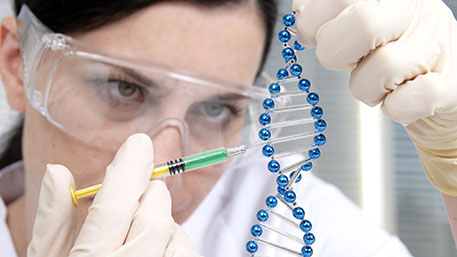В США будут проводить генетические эксперименты на людях - ТРК Звезда  Новости, 23.06.2016