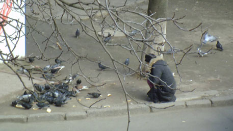 На Украине голодные люди отбирают хлеб у голубей