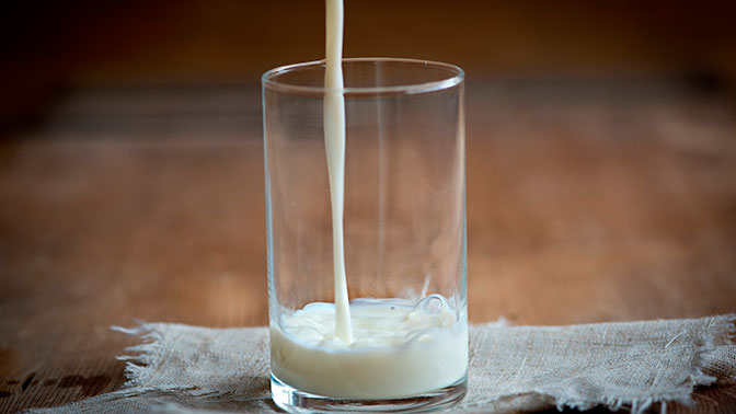 Россия временно запретит ввоз молочной продукции из Белоруссии